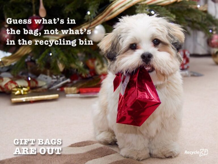 Puppy with gift bag in its mouth.